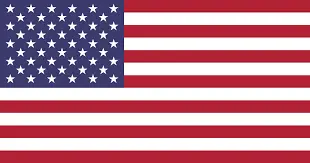 american flag-Live Oak